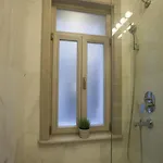 Fil * Istanbul